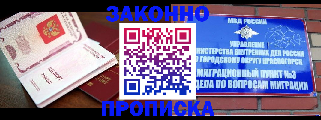 прописка для школы в Подольске